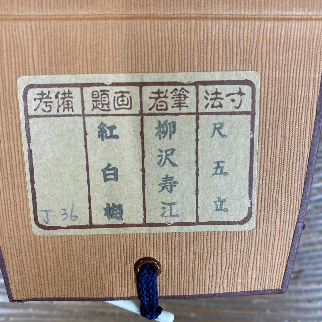 美品 掛け軸 柳沢寿江作 紅白梅図 共箱 太巻き 縁起物