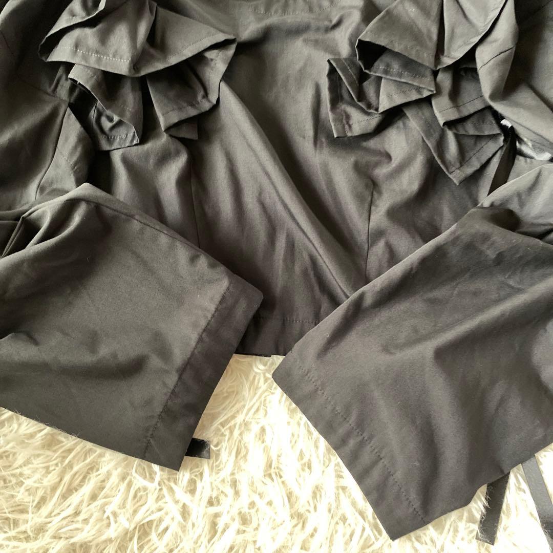 Ray BEAMS 【別注】MIYAO / フリル ブラウス　黒