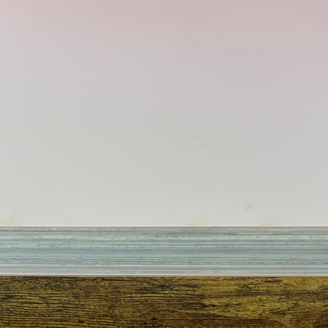 大友克洋GENGA展の公式図録 GENGA