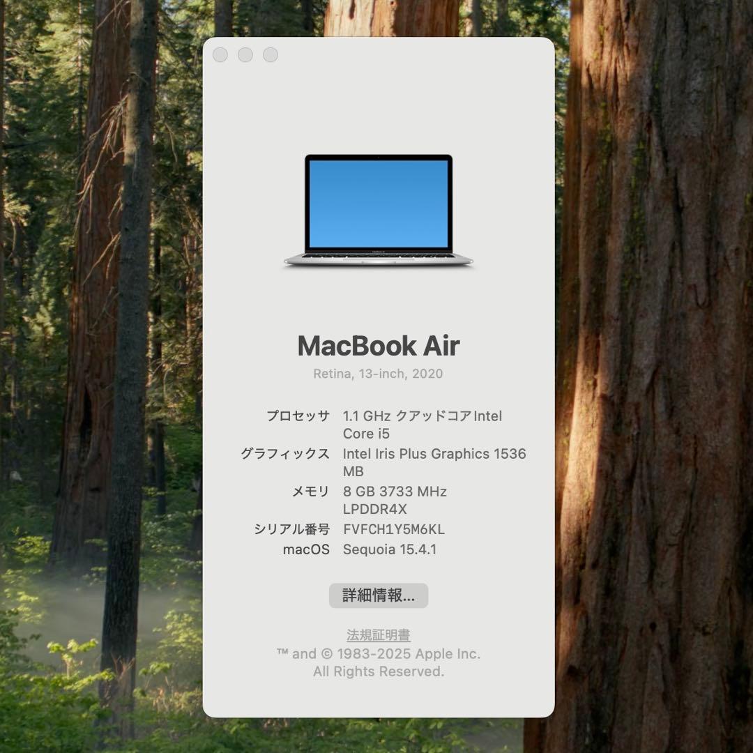 MacBook Air 2020 13インチ シルバー i5 8GB/512GB