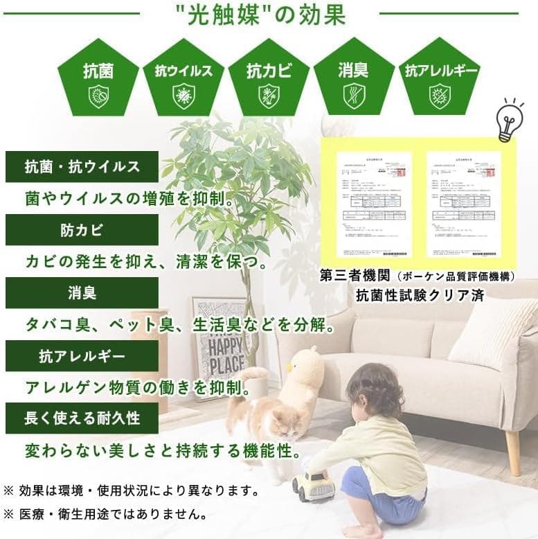 新品 三栄コーポレーション 光触媒 パキラ フェイクグリーン 約195cm