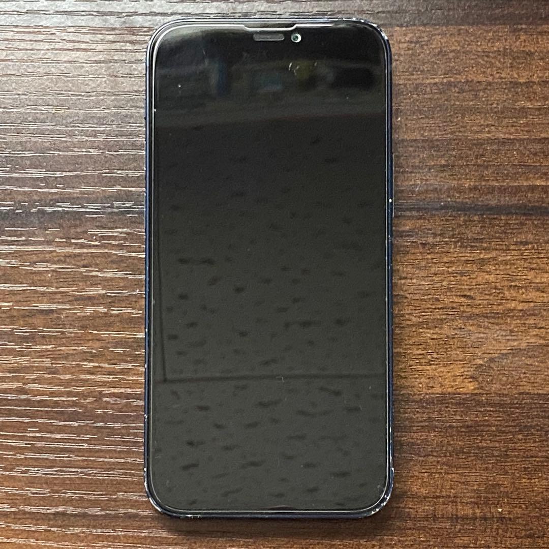 iPhone12 mini 256GB 訳アリ品 ジャンク品扱い Apple