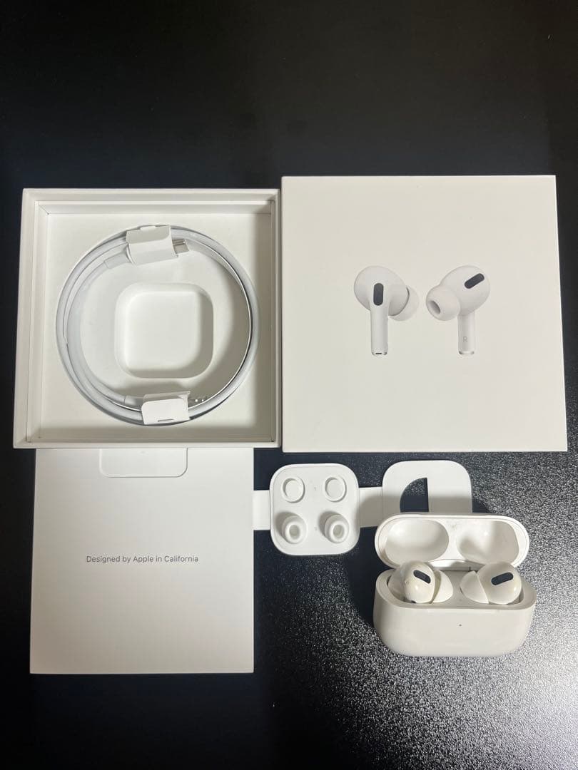 Apple AirPods Pro 第一世代 本体 おまけ付き