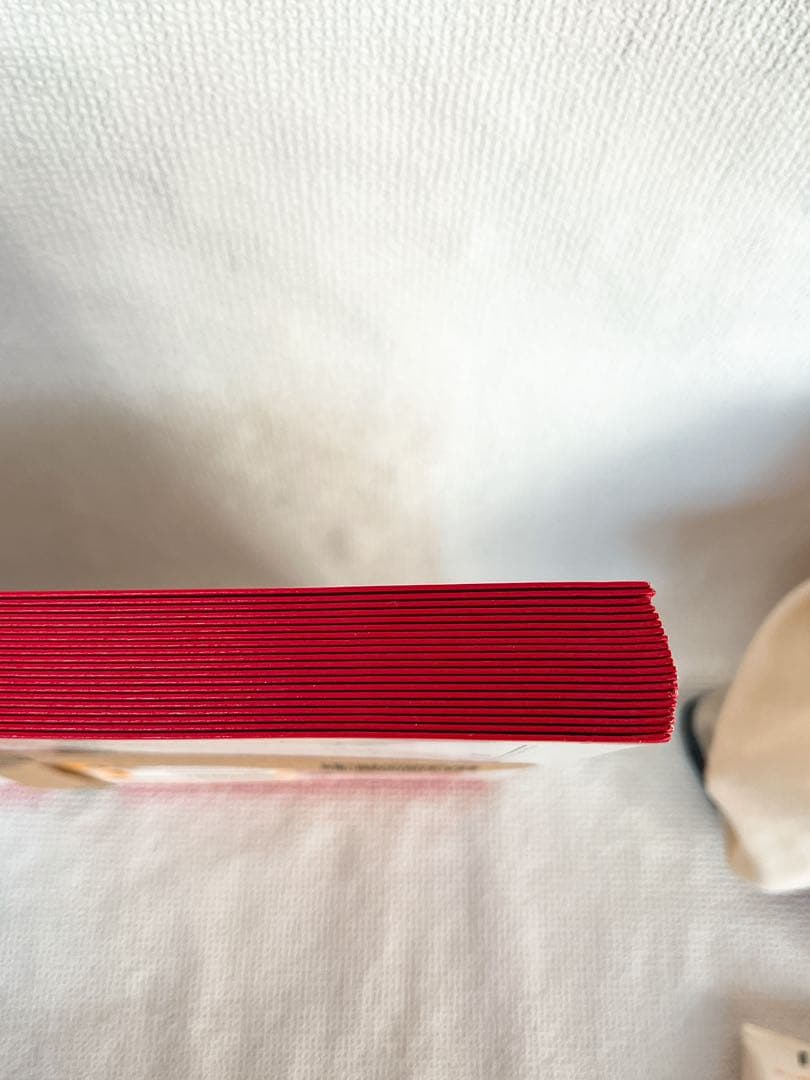 [新品未使用・送料無料] レターパックプラス 520×20枚