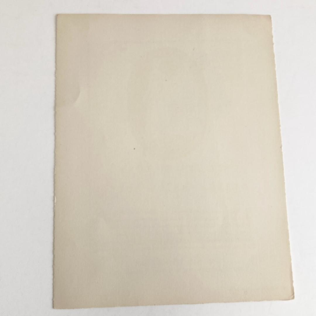 A.E.マルティ☆ファッションプレート『LE NID DE PINSONS』