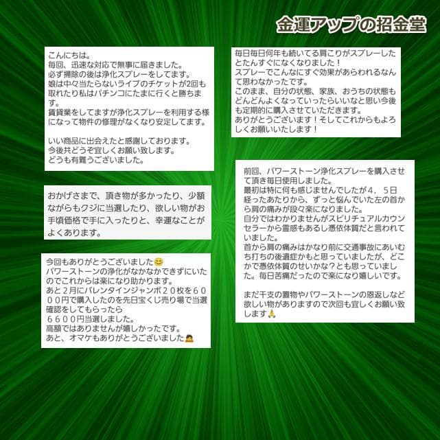 金運アップパワーストーンブレスレット『金運爆上げブレスレット 金運×財運』358