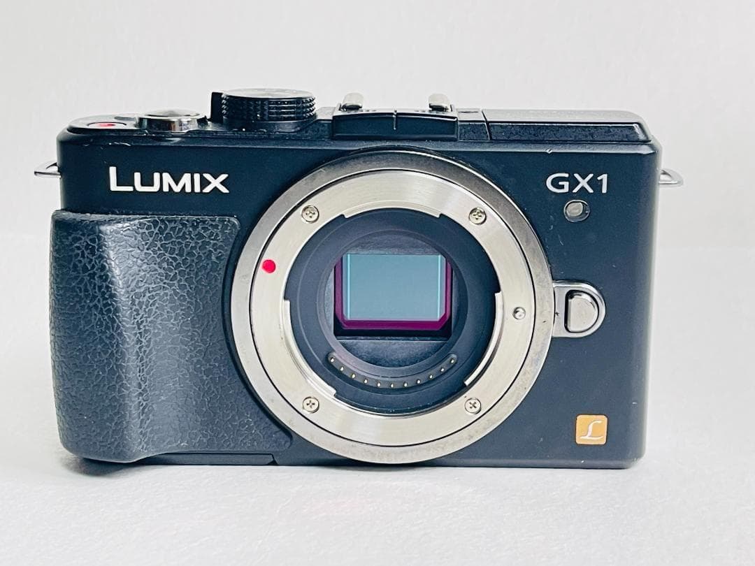 【ショット数5,121回】PANASONIC LUMIX DMC-GX1 ボディ