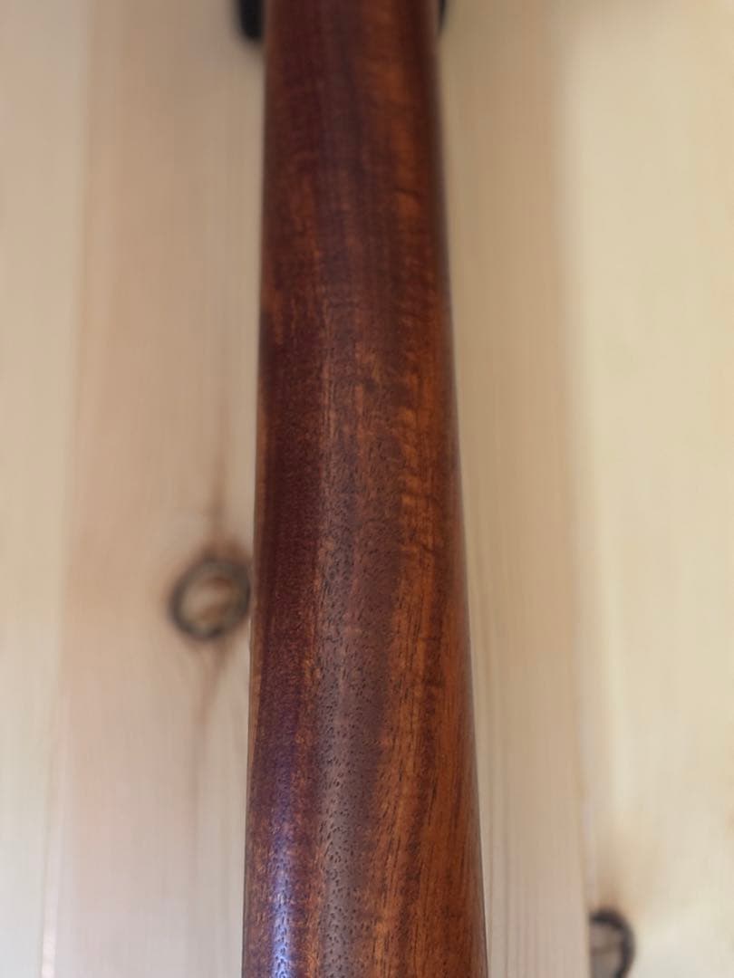 ギター LAG sauvage-ace