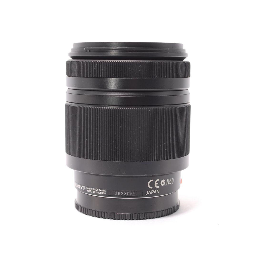 ❤即購入1000円OFF❤ SONY DT 18-250mm 広角＆望遠レンズ