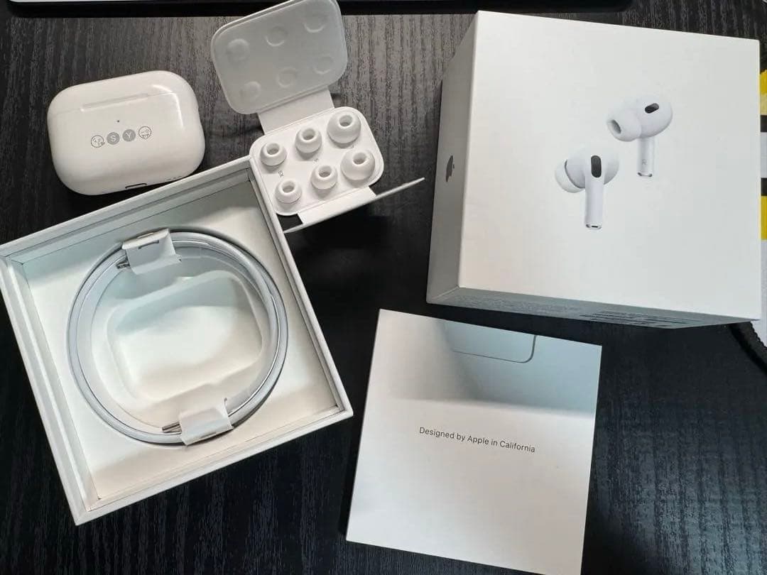 [動作確認済み]Apple AirPods Pro第二世代Lighting