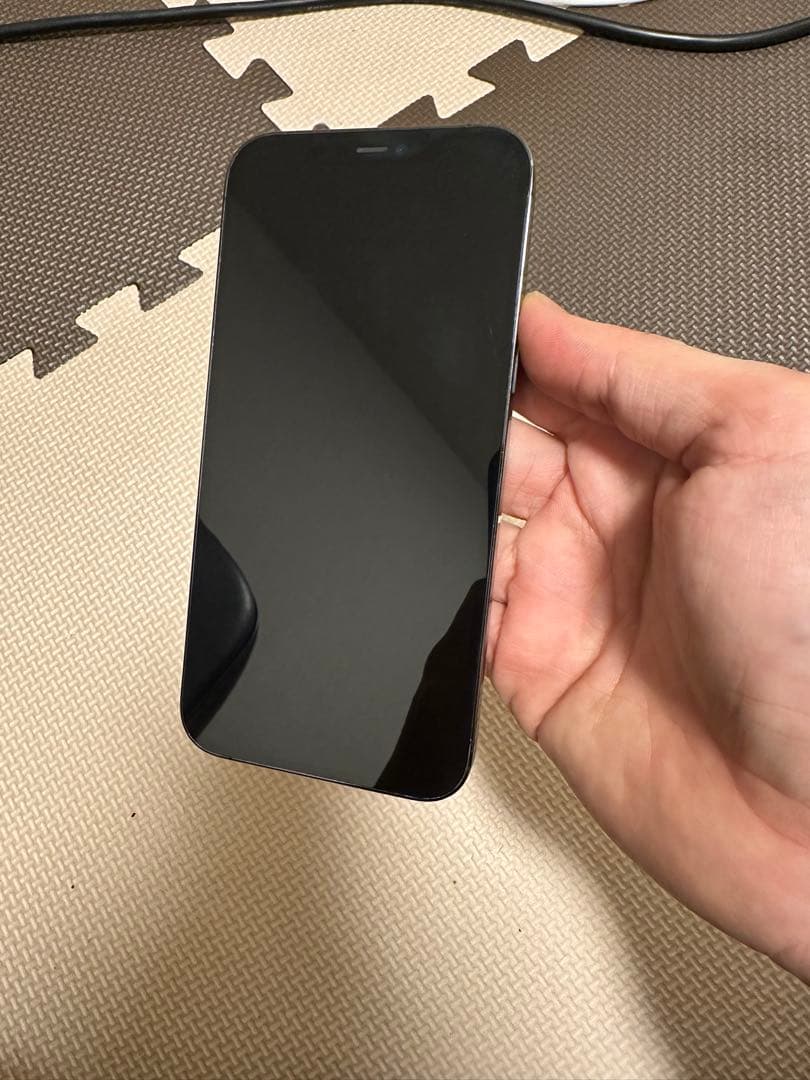 ジャンク iPhone 12 Pro Max ブラック256GB SIMフリー