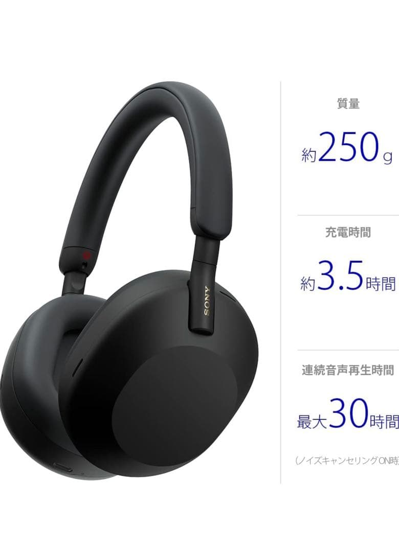 達*様 ※消毒済Sony ワイヤレスヘッドホン 最大30時間再生