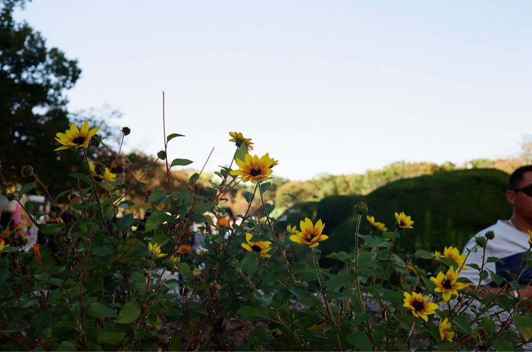 整備品Canon Canonet QL17 G-III レンジファインダー