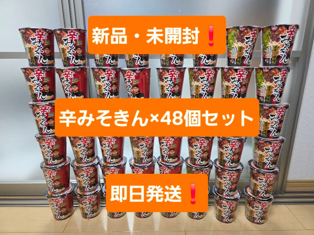 辛みそラーメン 48個セット 新品・未開封