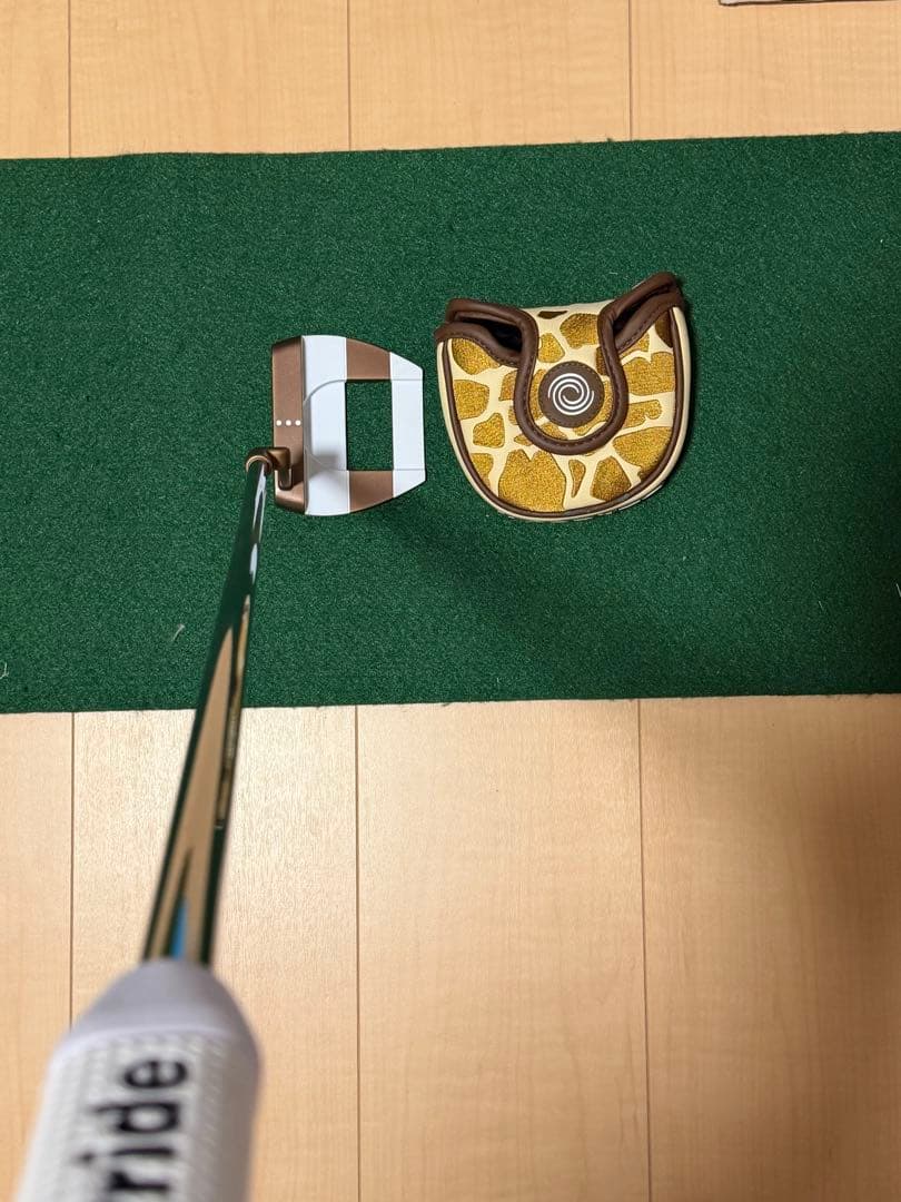 陽*り様 オデッセイ　 Ai-ONE　ジラフビーム　ジェイルバードミニ 33イン