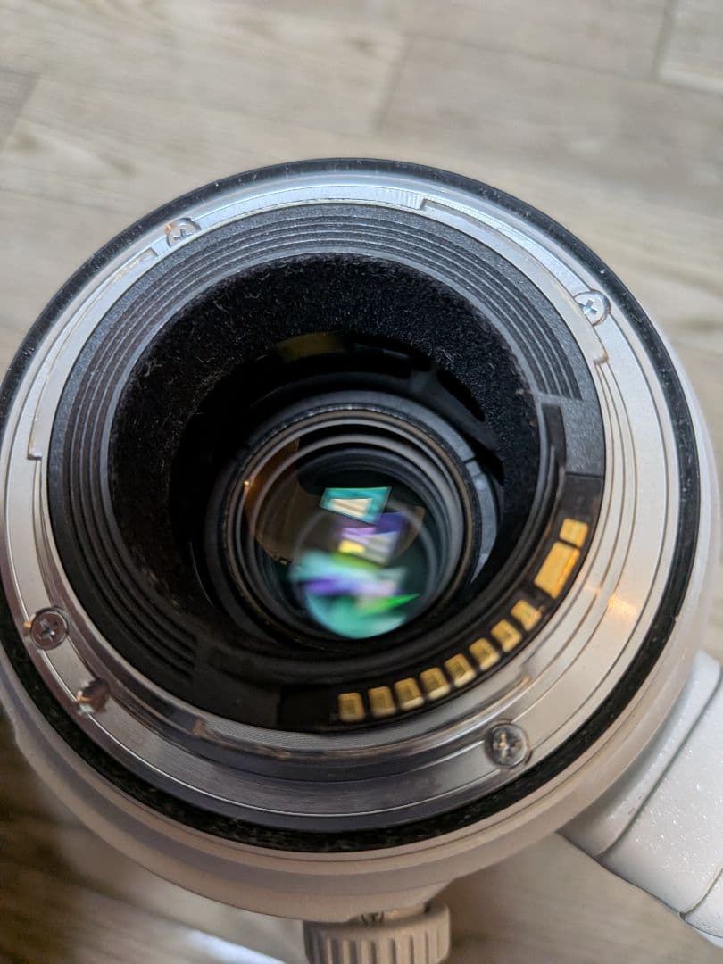 レンズ(ズーム) Canon EF 100-400mm F4.5-5.6 L IS II USM