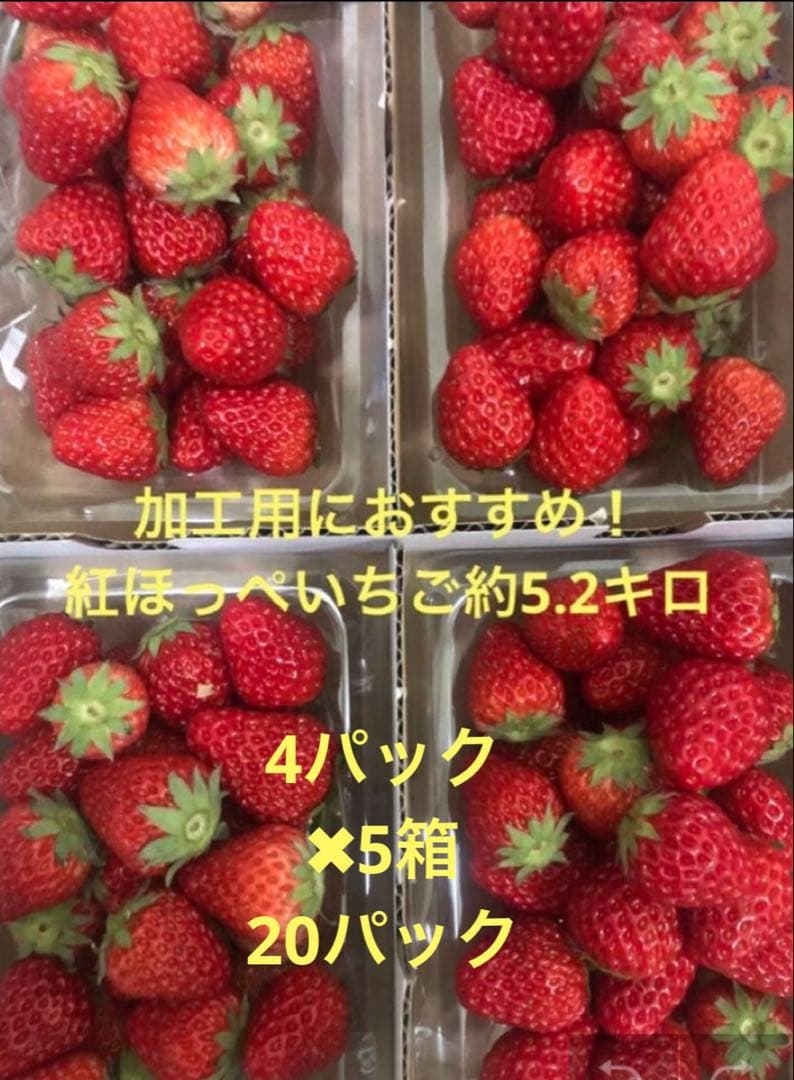 加工用　紅ほっぺいちご約5.2キロ4パック✖︎5箱計20パック