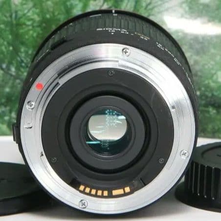 ❤近くから遠くまでこれ１本☆シグマ 18-200mm DC キャノン用❤
