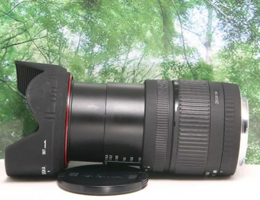 ❤近くから遠くまでこれ１本☆シグマ 18-200mm DC キャノン用❤