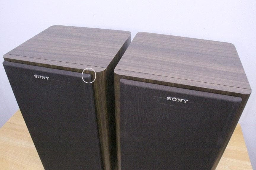 SONY 平面スピーカー APM-22ES