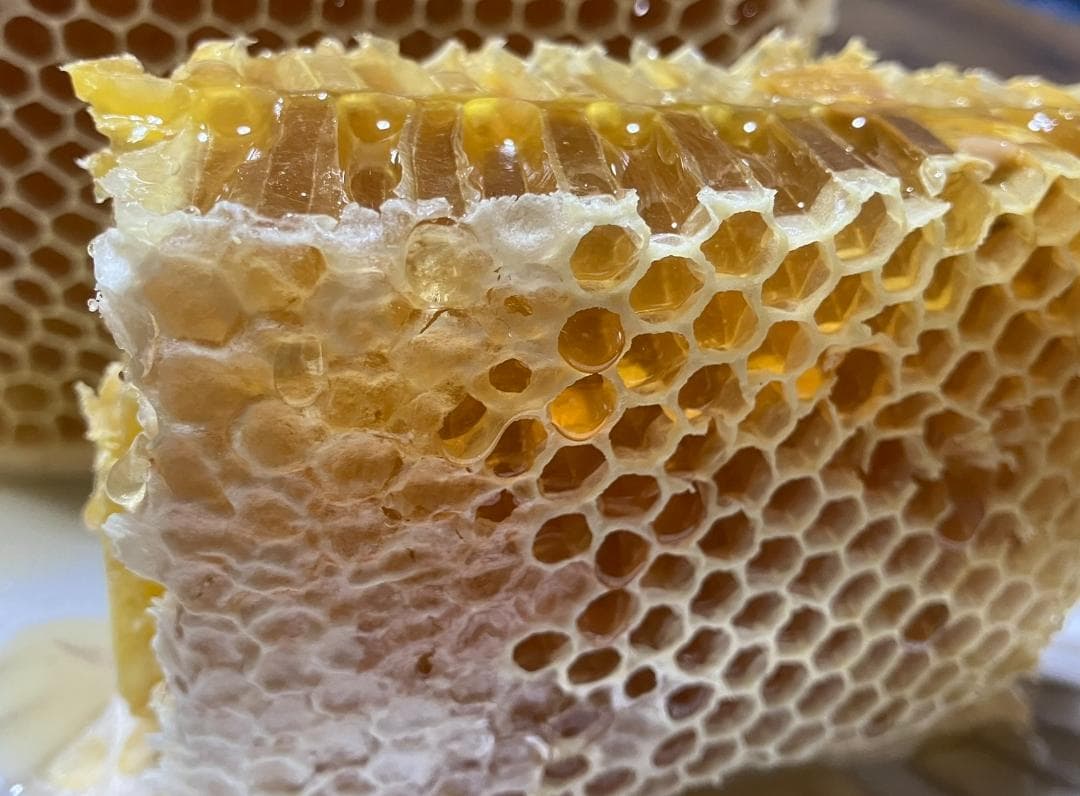 百花蜜 1000g 2本 長野県産 国産蜂蜜 はちみつ セイヨウミツバチ*