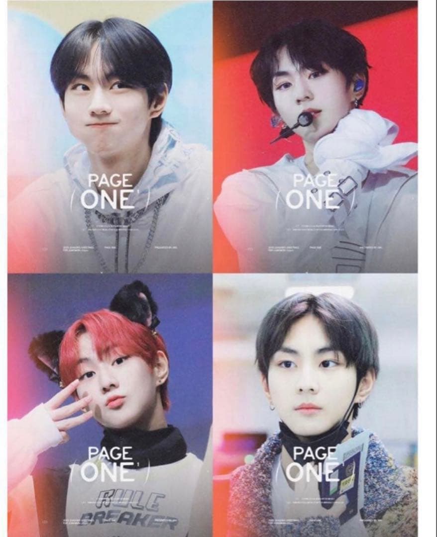 ENHYPEN エナプ ジョンウォン トレカ セット レア物 ペン卒