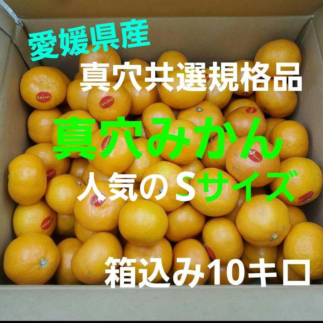 0️⃣0️⃣ 愛媛県産 真穴みかん Sサイズ 箱込み１０キロ②