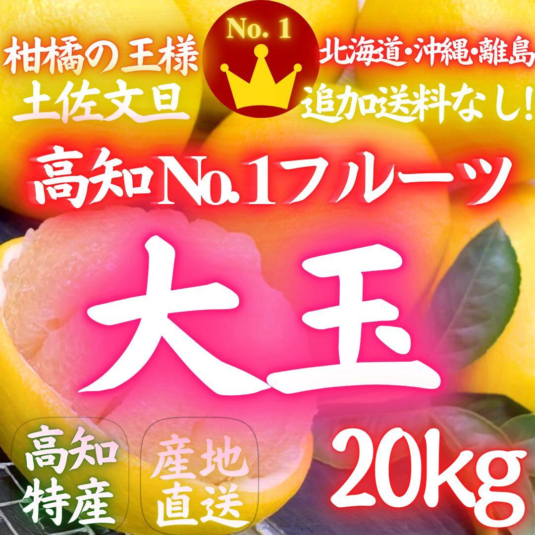 41高知特産 露地栽培 土佐文旦 3L4L文旦 約20kg 大玉 サイズ