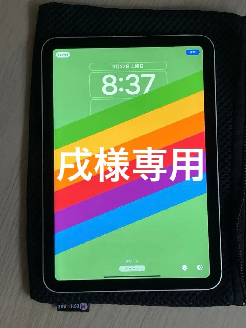 iPad mini (第６世代) Wi-Fi+Cellular 256GB