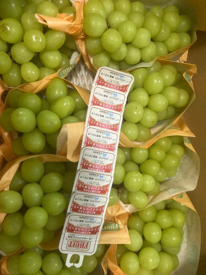 長野県産　シャインマスカット約５キロ