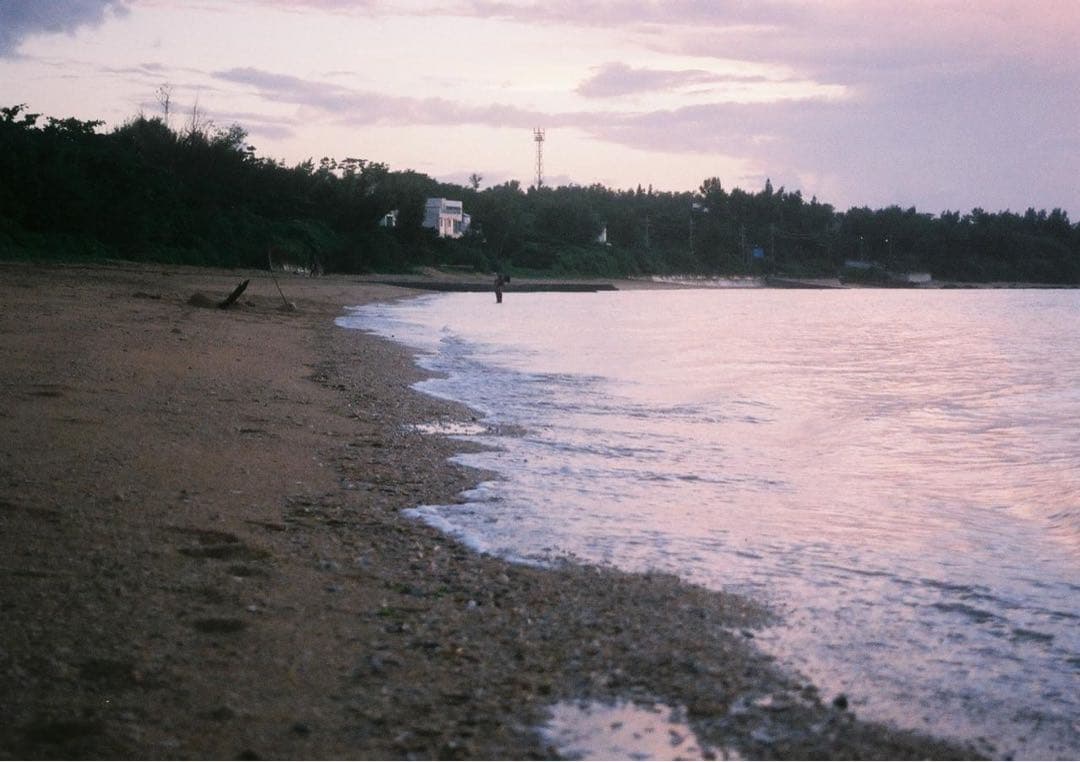 Nikon F100 フィルムカメラ 28-80mmレンズ