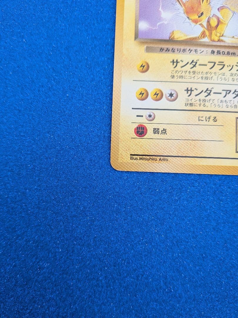 わるいサンダース HP50 No.135　旧裏