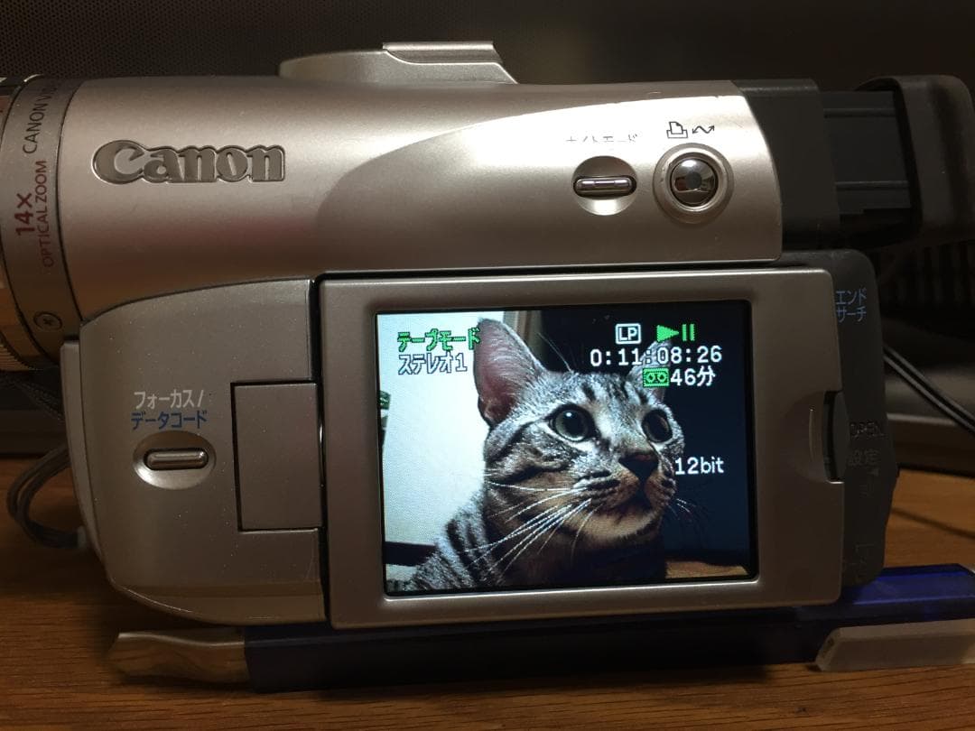 美品 撮影再生ダビングOK　Canon　DM-FV M20　付属品有　液晶綺麗