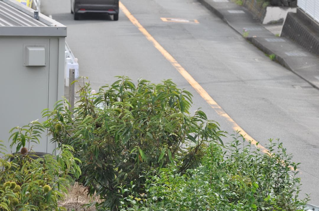 ニコン Nikon AF-S Nikkor 70-200mm F2.8G ED