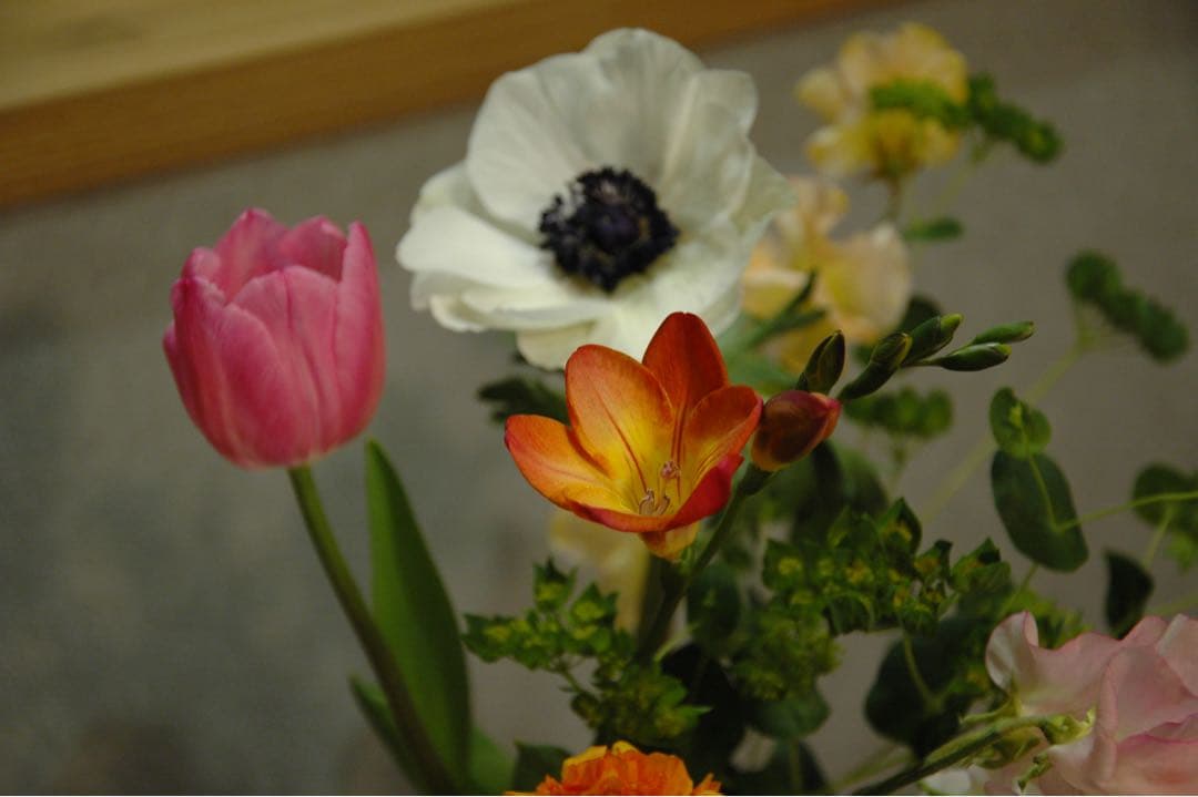 Nikon D70 CCDデジタル一眼 af-s 18-105 VR レンズ※注