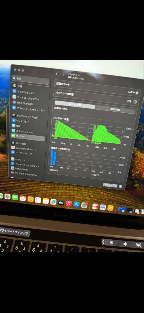 MacBook本体 Apple MacBook Pro 256GB