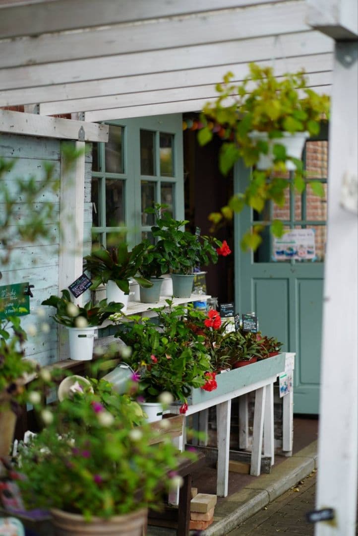 CREST SONY FE 50mm F1.4 レンズ