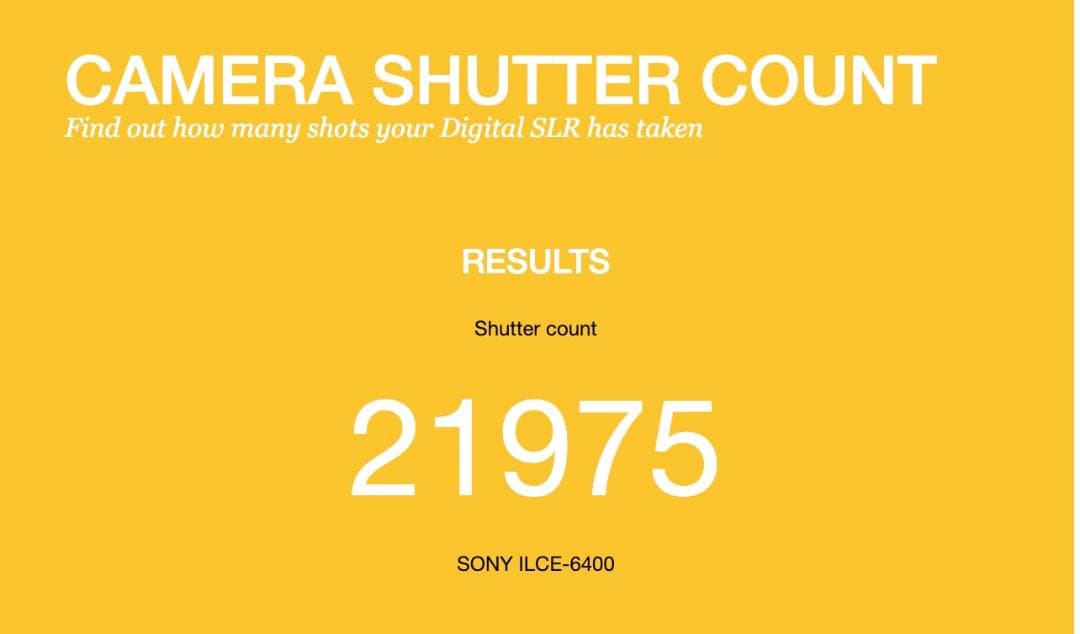 α6400で子供の瞬間を逃さない人生最後のチャンス SONY SD付き