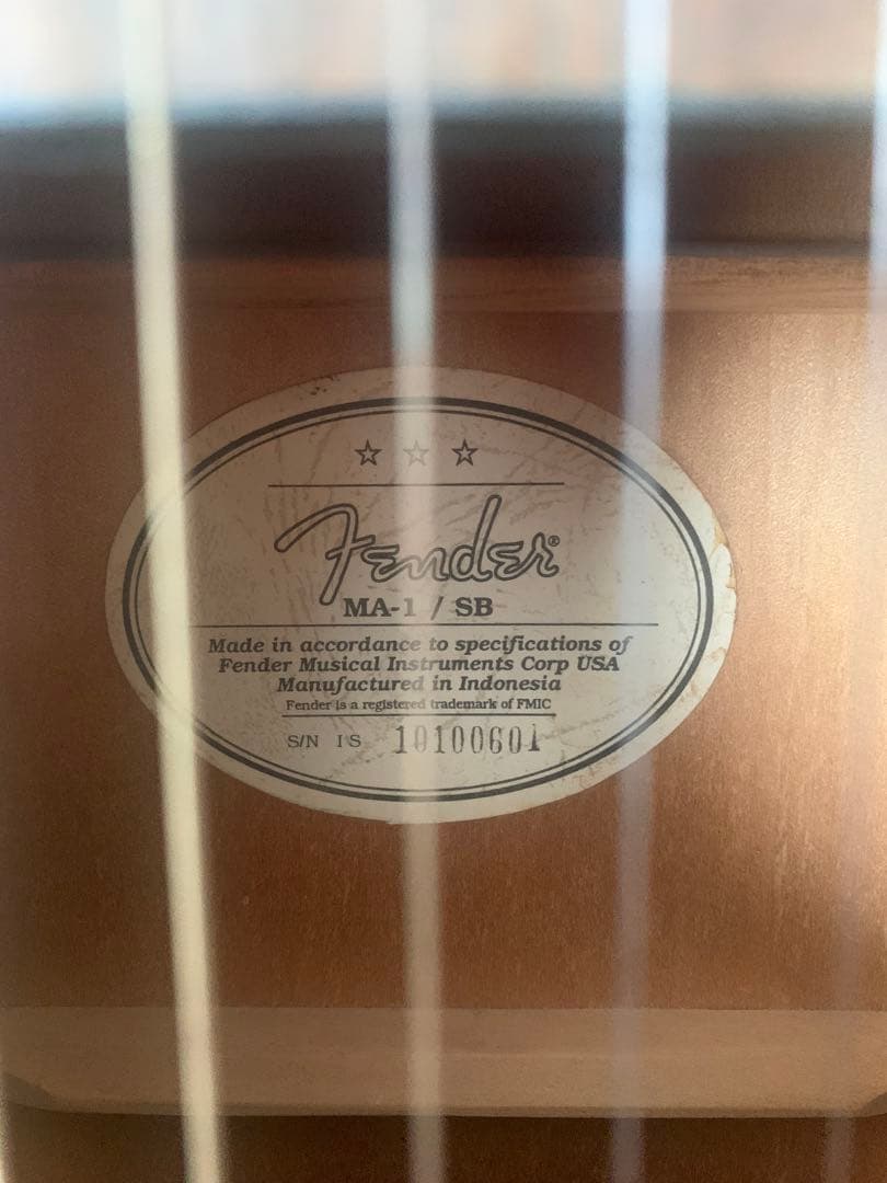 fender ミニアコースティックギター