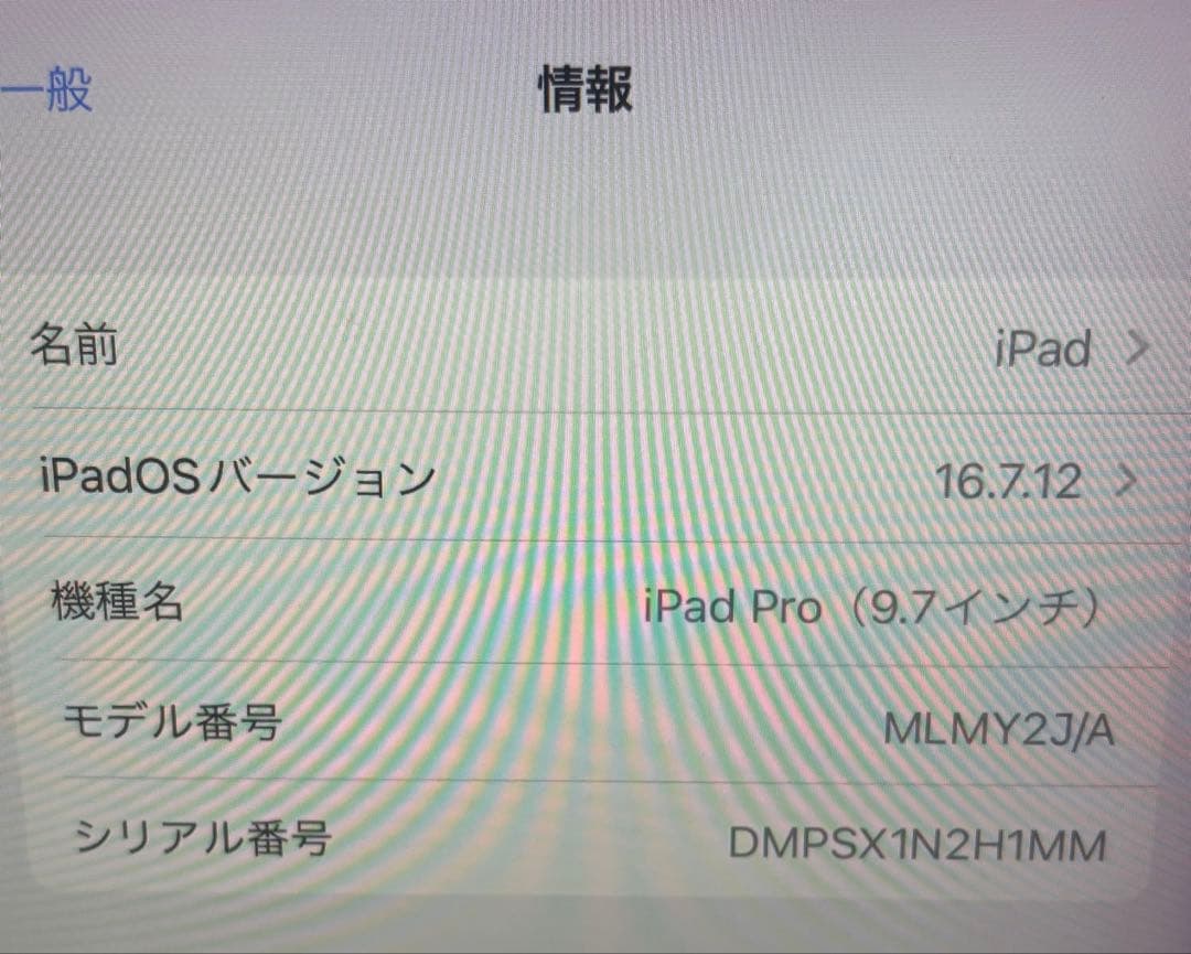 iPad Pro 9.7 （256GB、Wi-Fi、スペースグレイ）