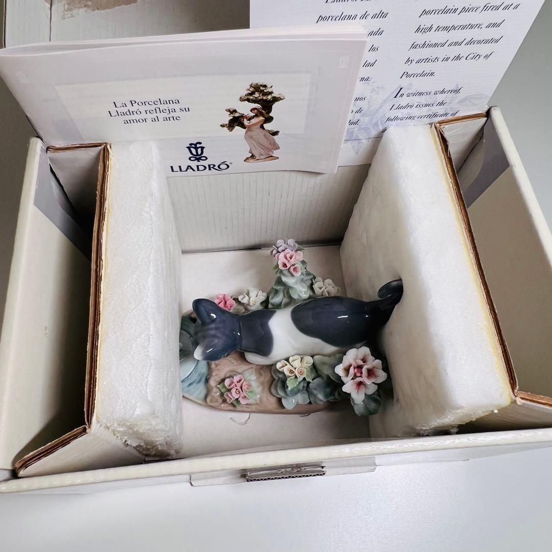 希少 共箱あり LIADRO KITTY CONFRONTATION にらみ合い