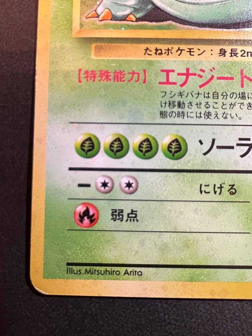 【美品❗️】フシギバナ　キラ