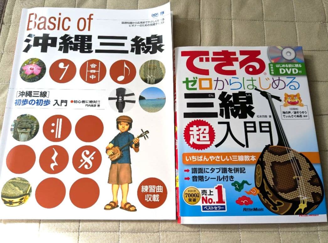 【送料無料】沖縄三線 ヘビ柄 3弦 ケース、付属品、テキスト2冊付き