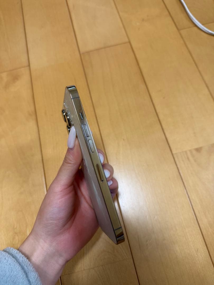 【高山エネ太郎様】iPhone 13 Pro ジャンク品:操作問題なし
