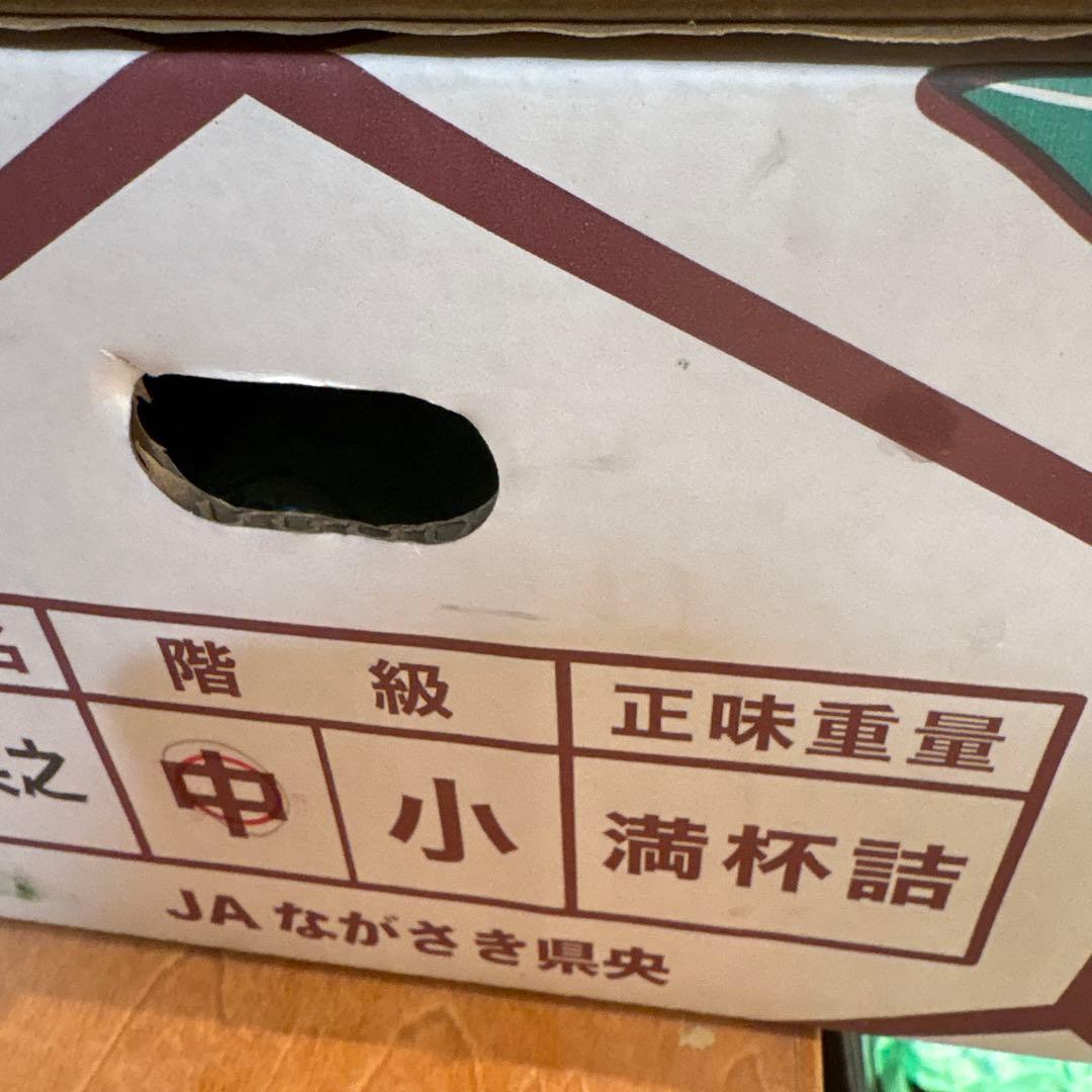 専用2箱 味好鳥' 袋掛けみかん '中サイズ JAながさき県央