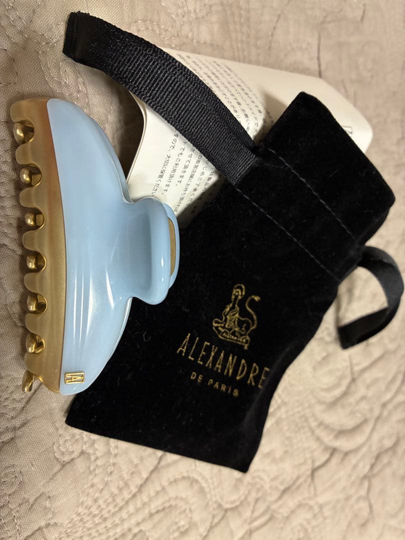 ALEXANDRE DE PARIS 水色ヘアクリップ