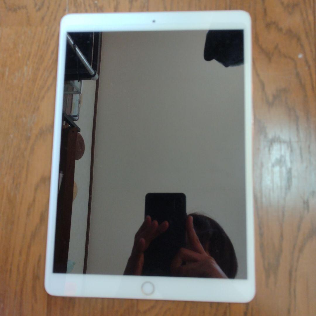 ビートルートスープ　Apple iPad pro 第2世代