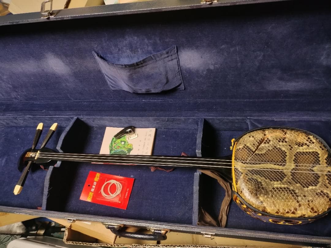 沖縄三線　バチ　ウマ　　胴皮破れ　現状渡し品