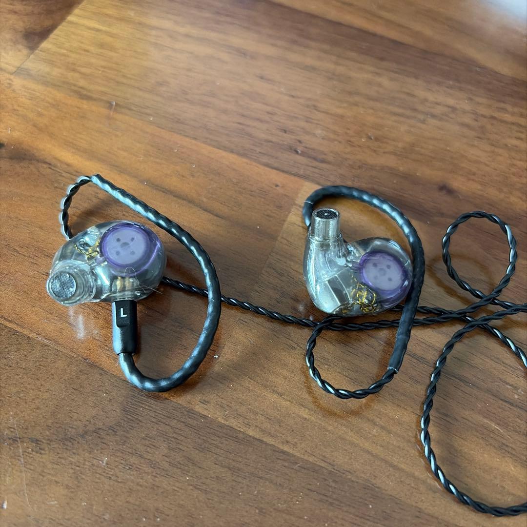 VISION EARS MEISTER イヤホン