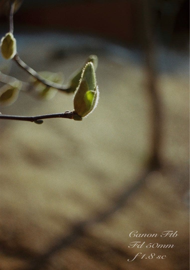 ★完動＊美品＊整備済＊初期保証★canon ftb★作例多数